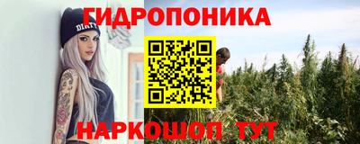 марки nbome Сланцы