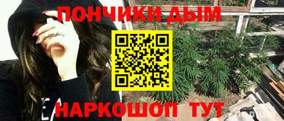прущие крисы Славгород