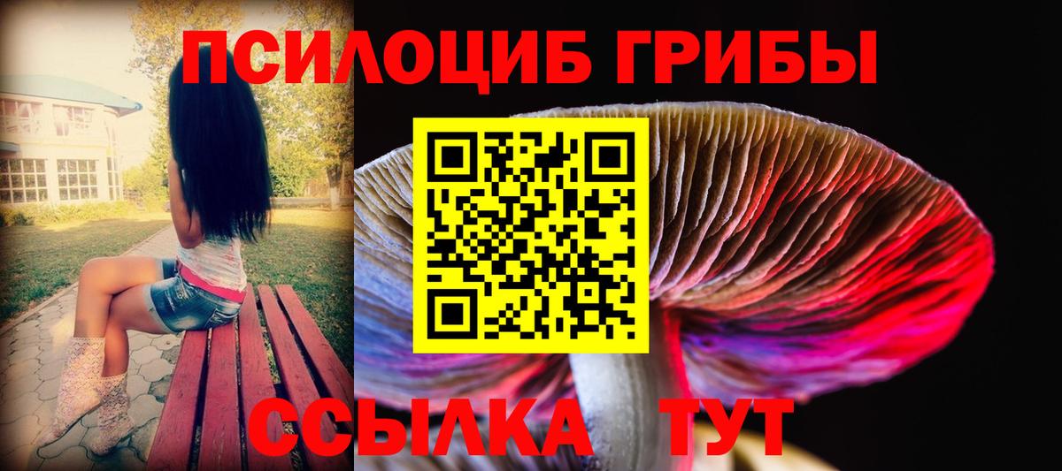 Самара  Псилоцибиновые грибы Psilocybine cubensis  где купить наркотик  Вход с VPN 